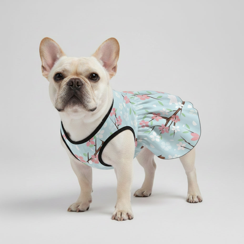 French Bulldog Mia French Bulldog Dresses For Females Frenchie Pet Item