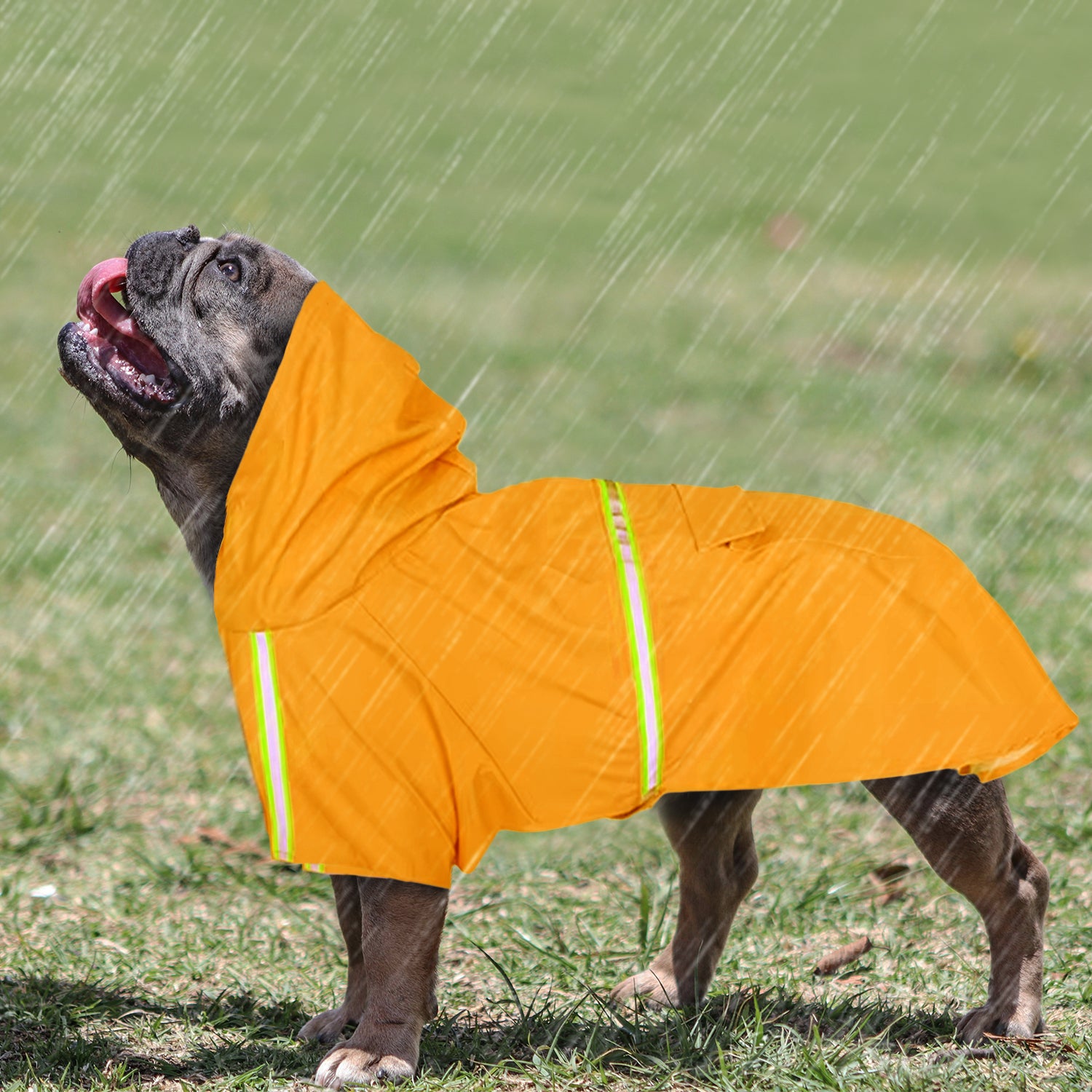 Trendy Comfortable Stormshield Frenchie Rain Jacket for Daily Life
