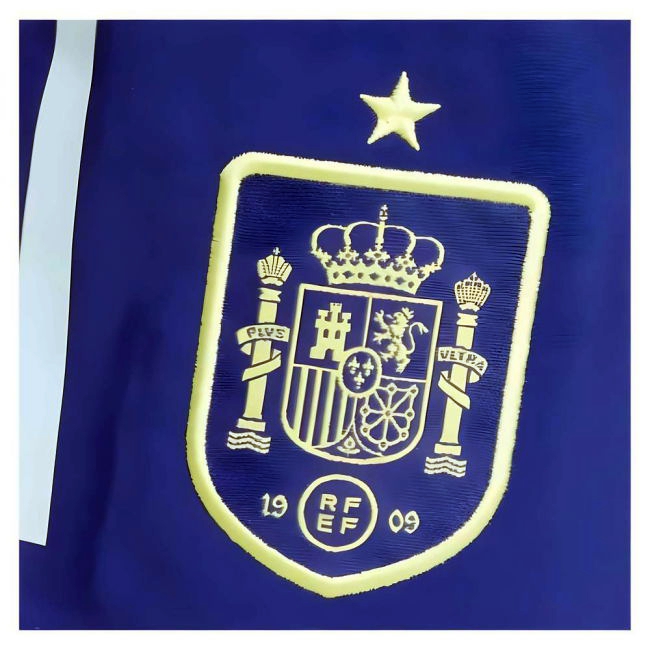 2024-2025 Spain Downtime Shorts (Blue)