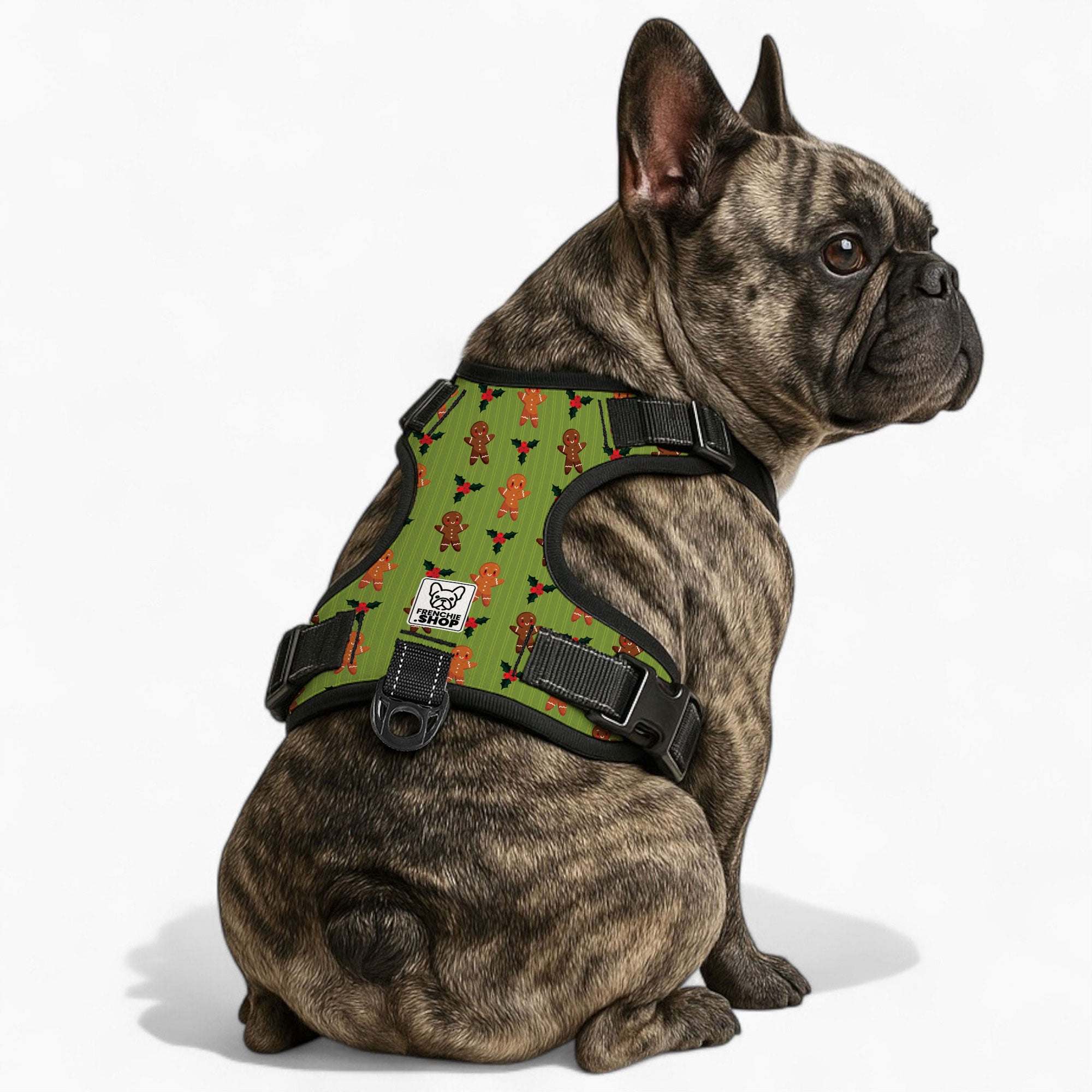 - Warm No-pull French Bulldog Dog Harness Paw Protection | Comfort Fit