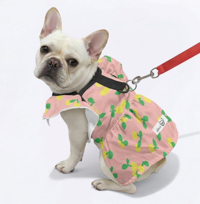 Kaia - Frenchie French Bulldog Dresses For Females Paw Protection