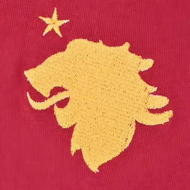 Aston Villa 2025-2026 T-shirt - Professional Player Version Edition