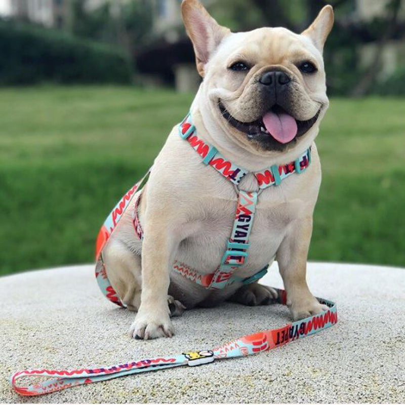 French Bulldog专属 Elite French Bulldog No Pull Fashion Harness And Lea...