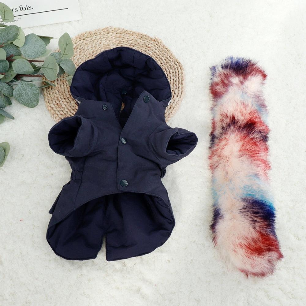 French Bulldog Pawmax Coat V2 French Bulldog Coat (ws46) Warm Dog Outfit