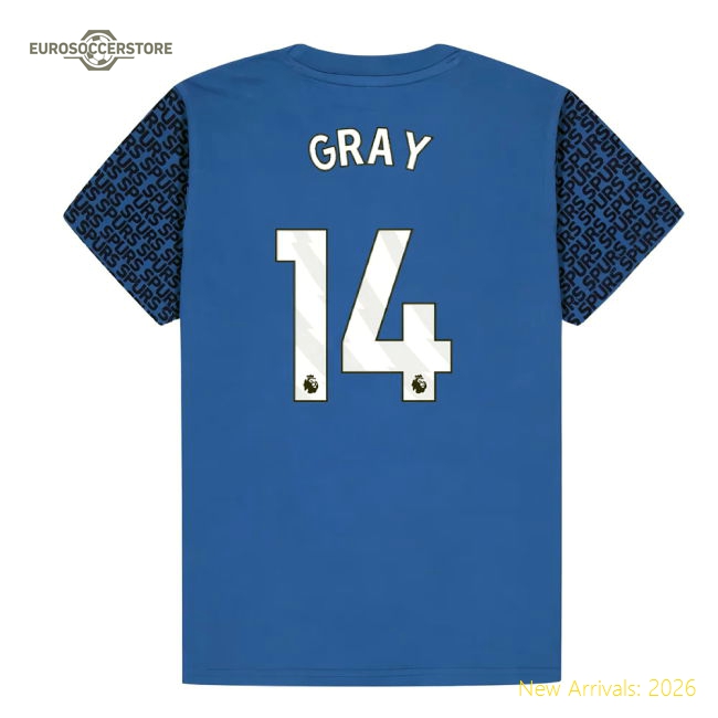 Tottenham Hotspur Graphic T-shirt (Blue) - Kids (Gray 14)