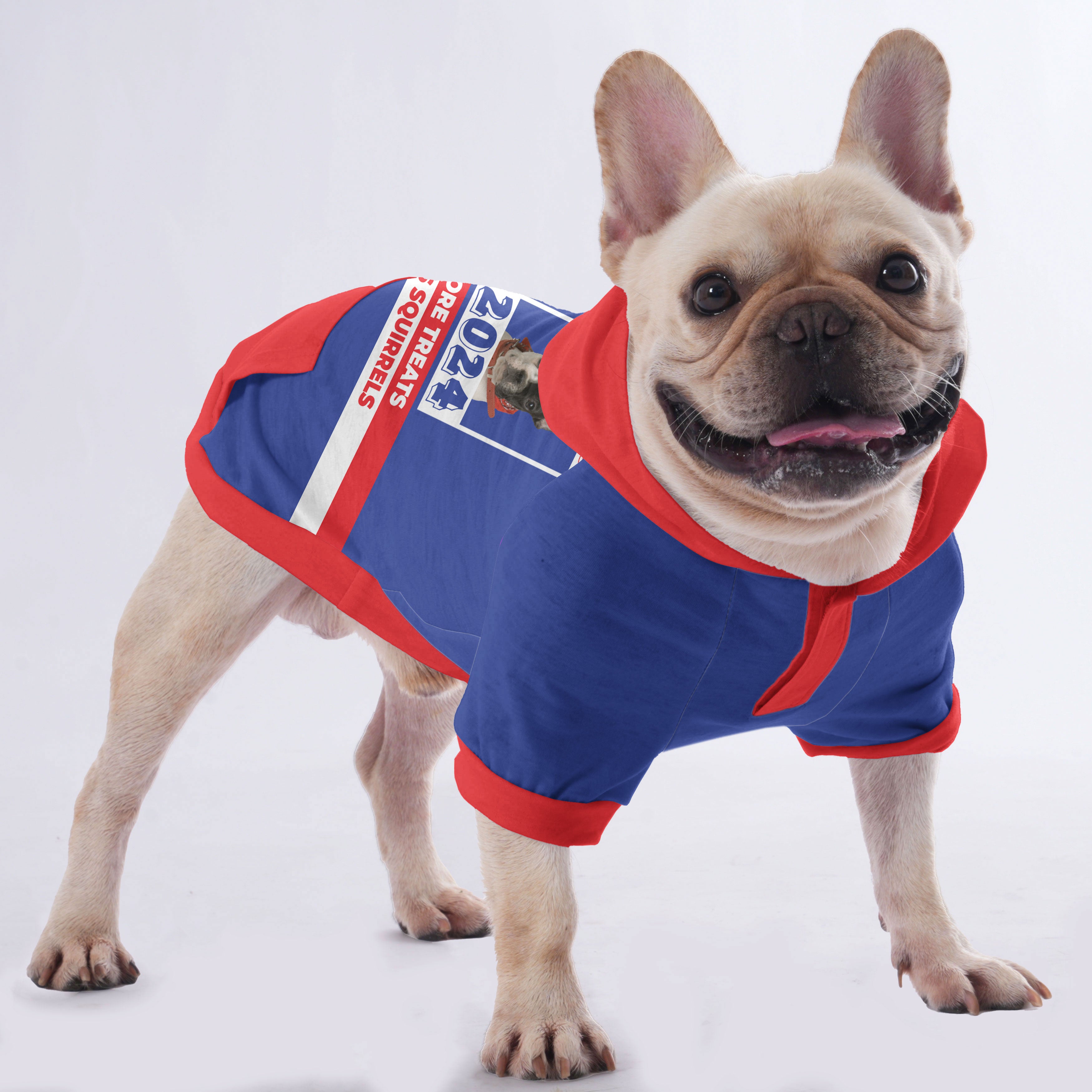 Custom French Bulldog Hoodies Showcasing Your Dog’s Photo and Name | Frenchie Shop Original