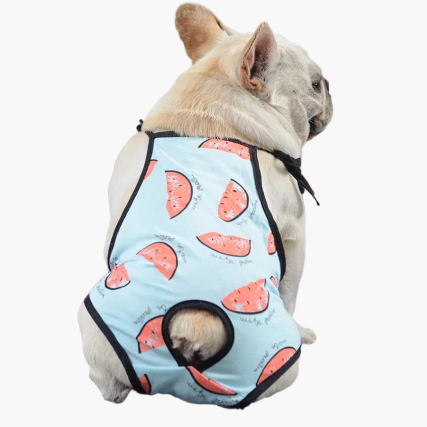 Cozy Pupsafe Frenchie Female Physiological Pants – Soft Leak-proof Ad...