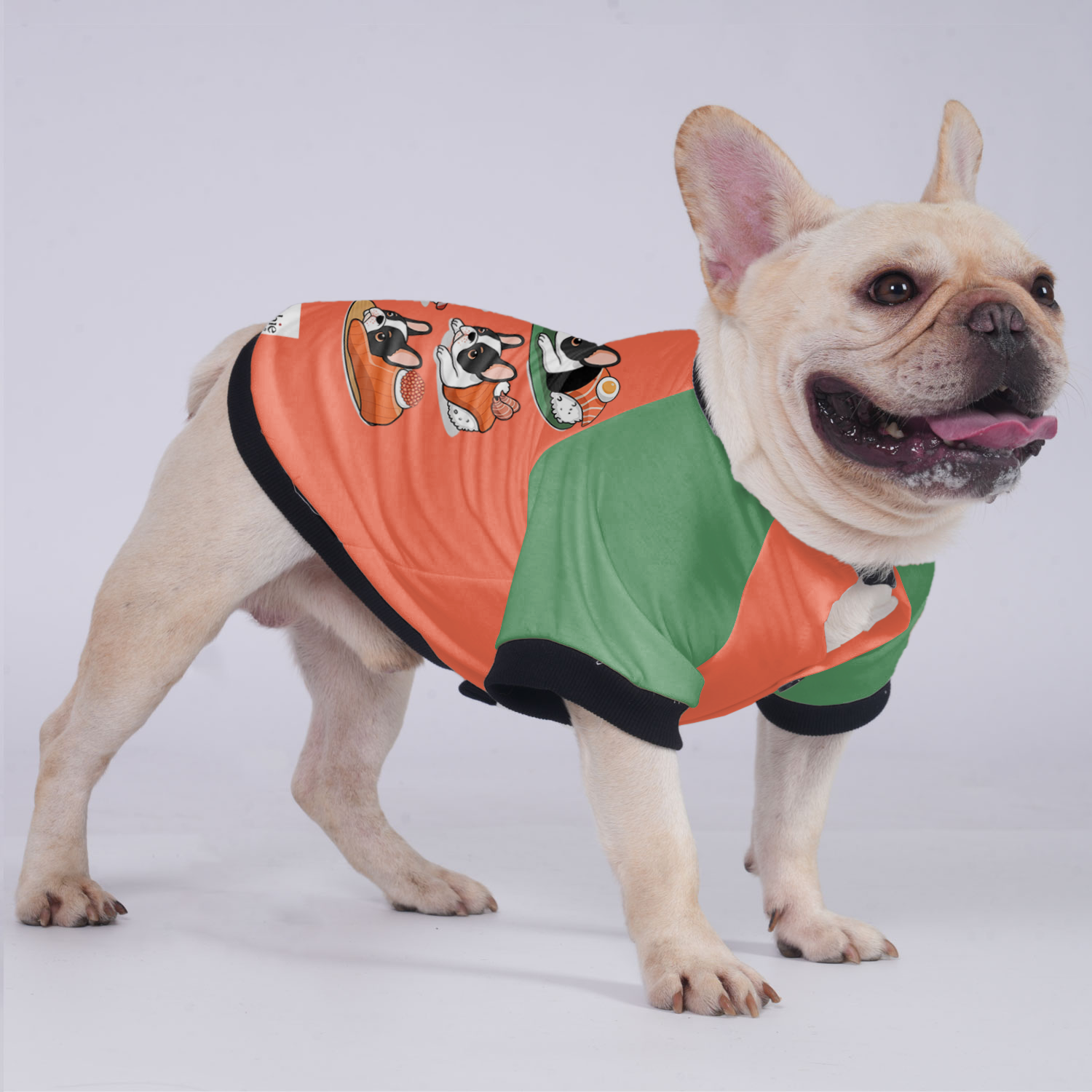 - Frenchie Jacket For French Bulldog For French Bulldogs | Comfort Fit