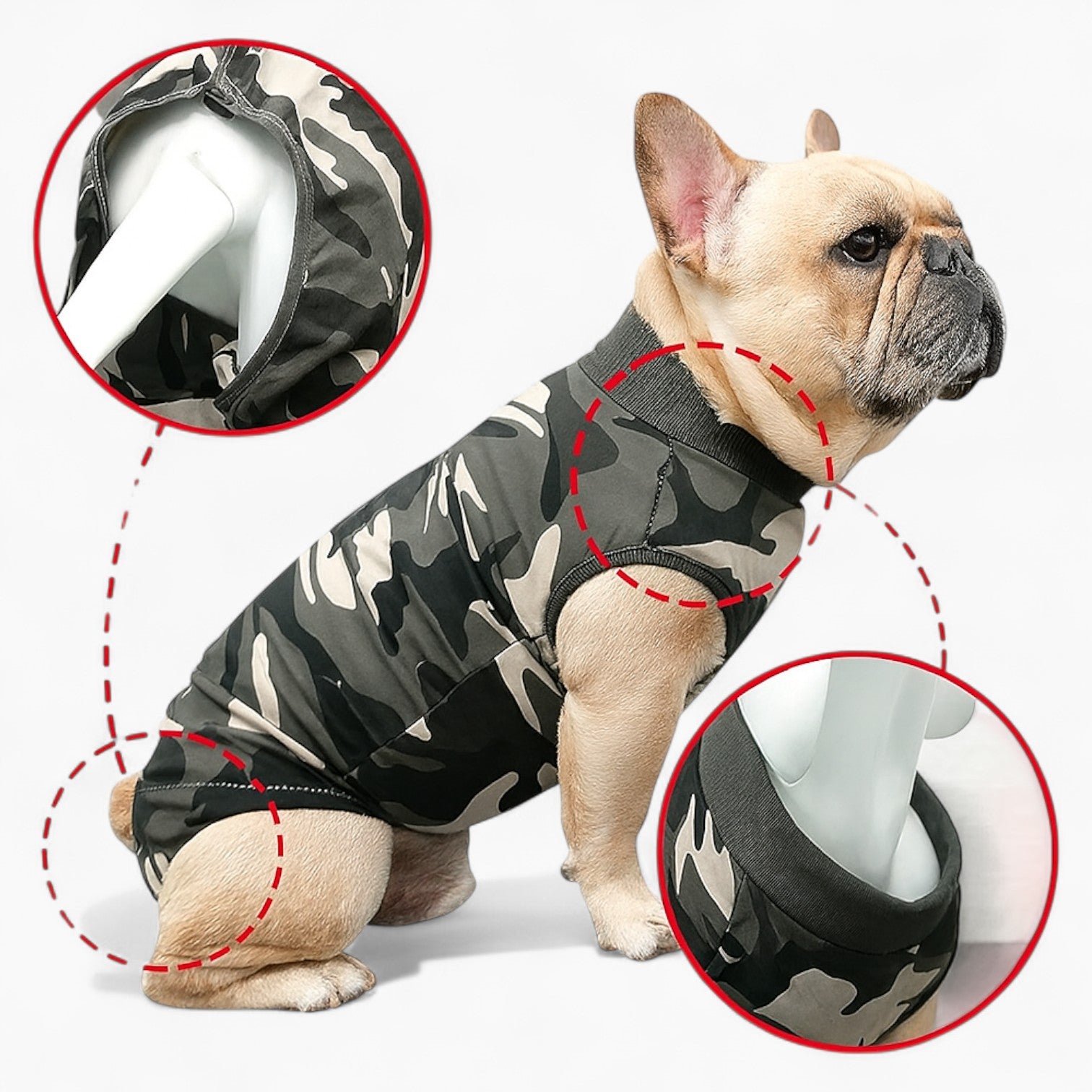 Abdominal Wound Recovery Protector For French Bulldogs | Vet-recommended