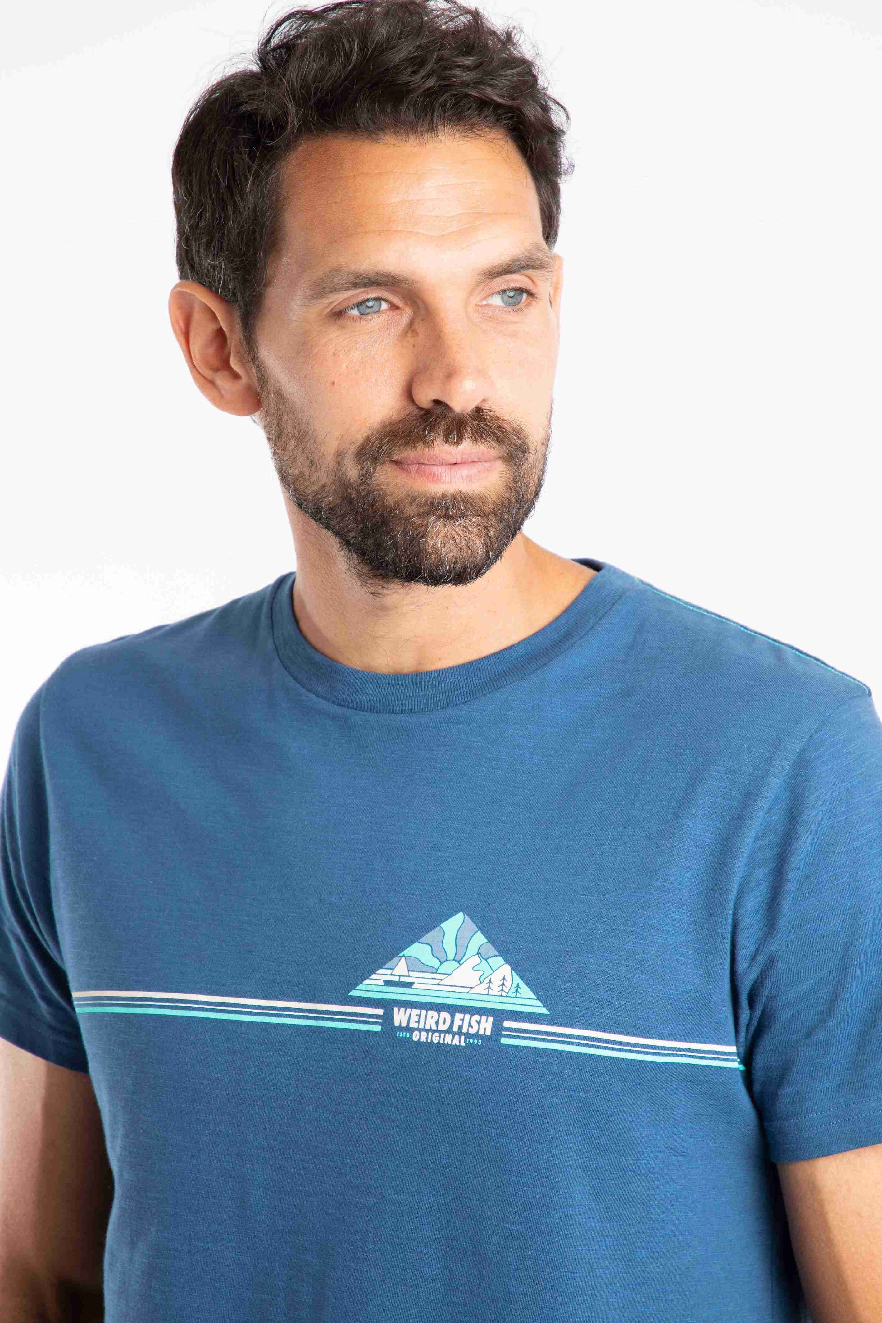 Pyramid Vista Chest Stripe Graphic T-Shirt Ensign Blue