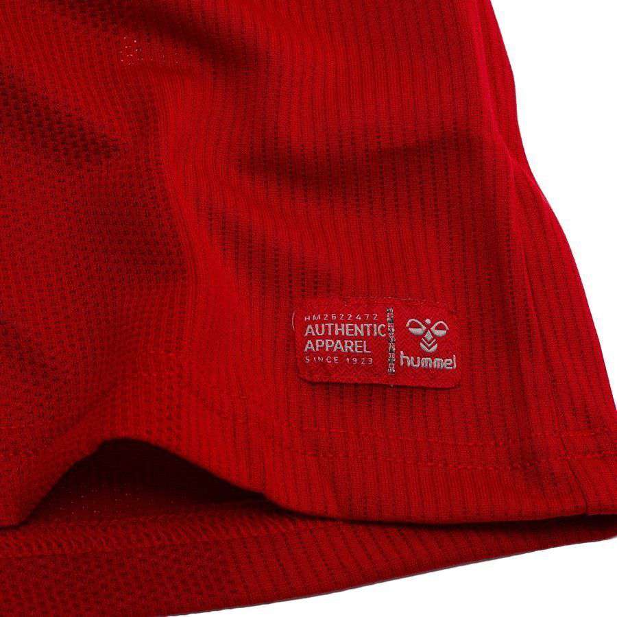 [EFKS] Denmark Pro Player Edition FROHOLDT 12 Home Apparel 2026/27