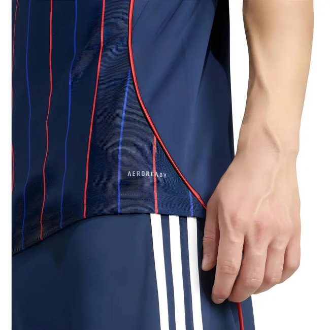 Premium 2025-2026 Lyon Away With Vintage Design - Easy Care