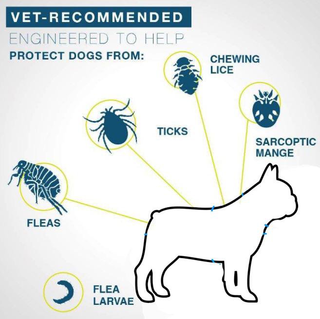 ™ Pro Guard Flea And Tick For Frenchies Pet Gear | Non-slip Design