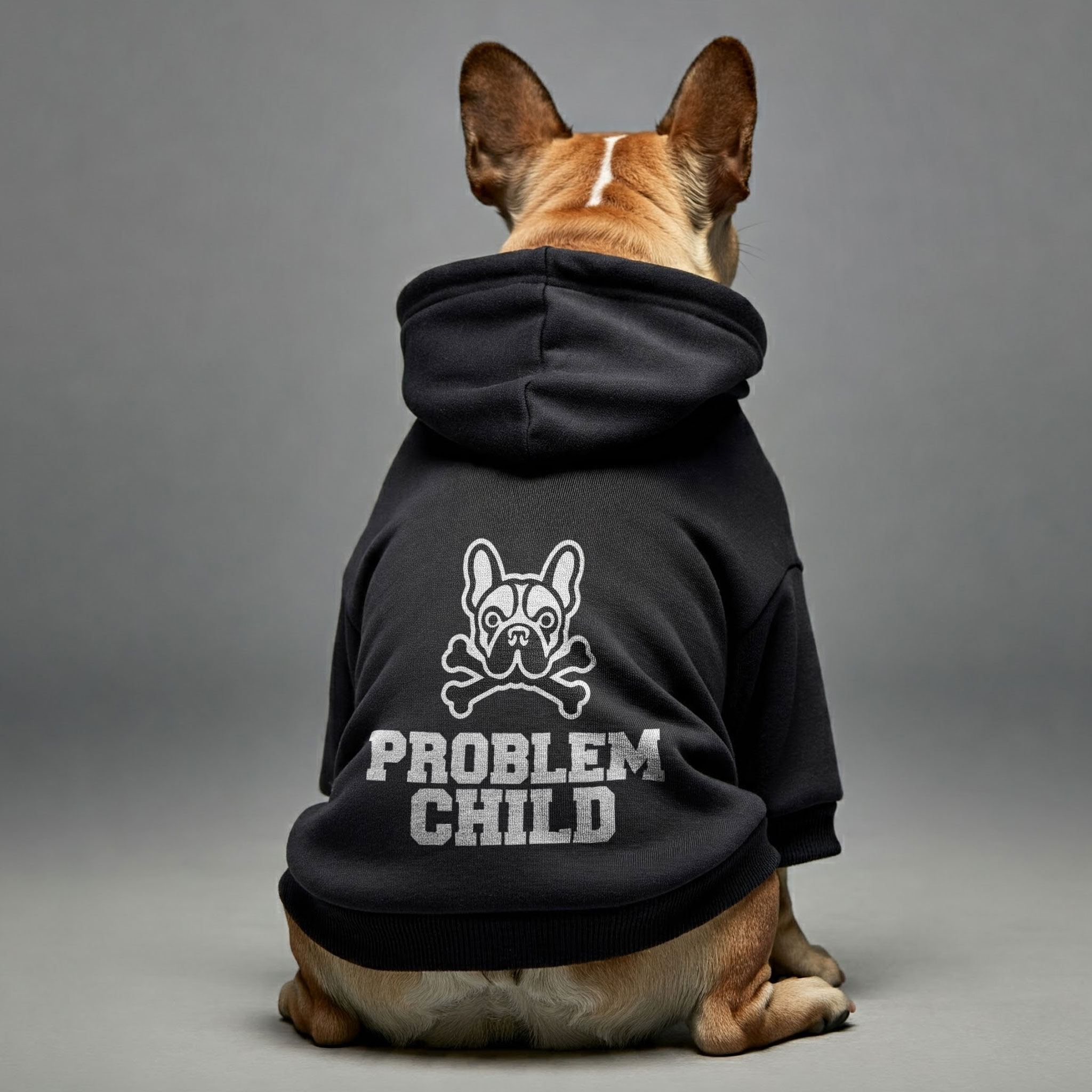 Stylish Problem Child - Personalized French Bulldog Hoodies With Funn...