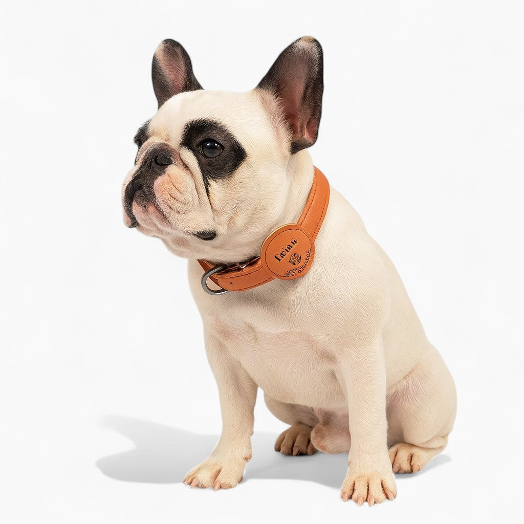 Durable Pawvera Frenchie Leather Airtag Collar – Personalized Anti-lo...