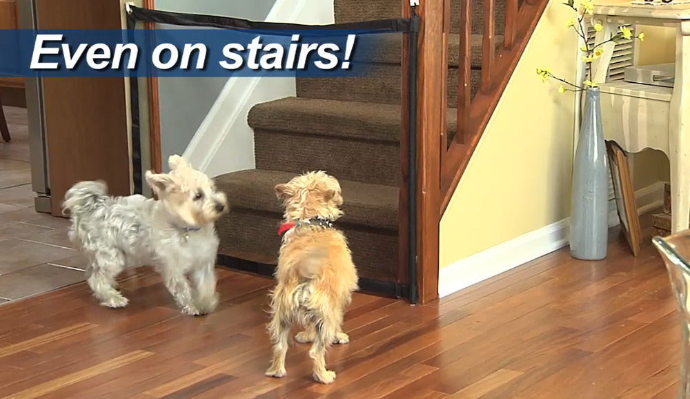 Magic Gate for Frenchies (WS57)