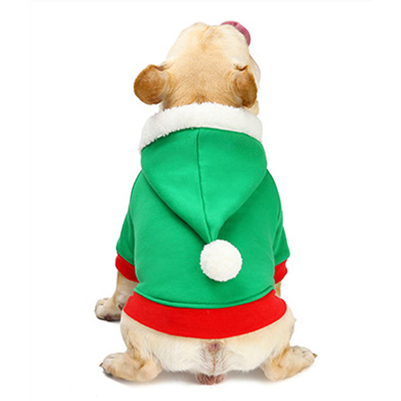 Costumes Spread Joy With Festive Fashion Summer Wear | Breed-optimized