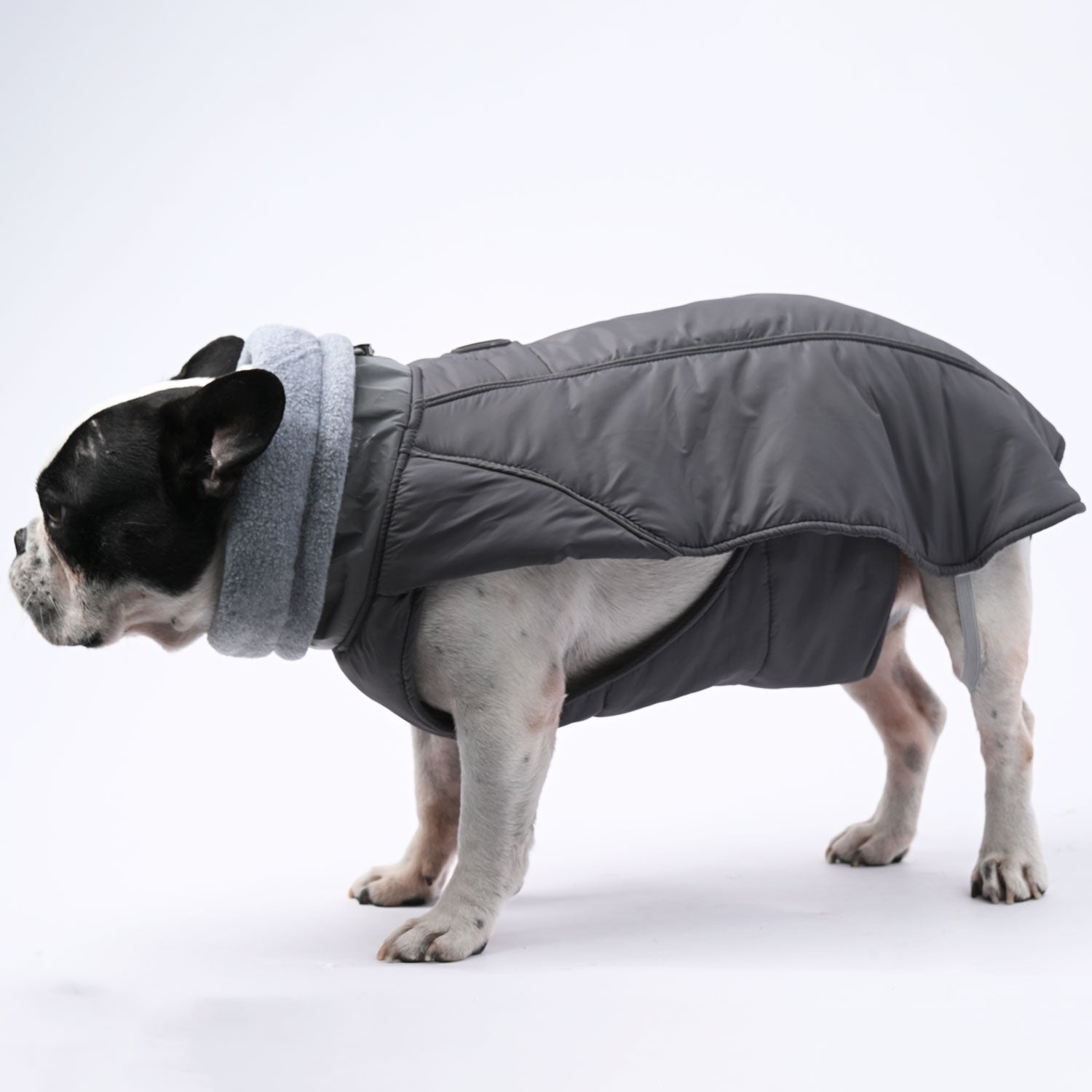 Royalpup - Safe Frenchie Luxury Winter Jacket For French Bulldogs