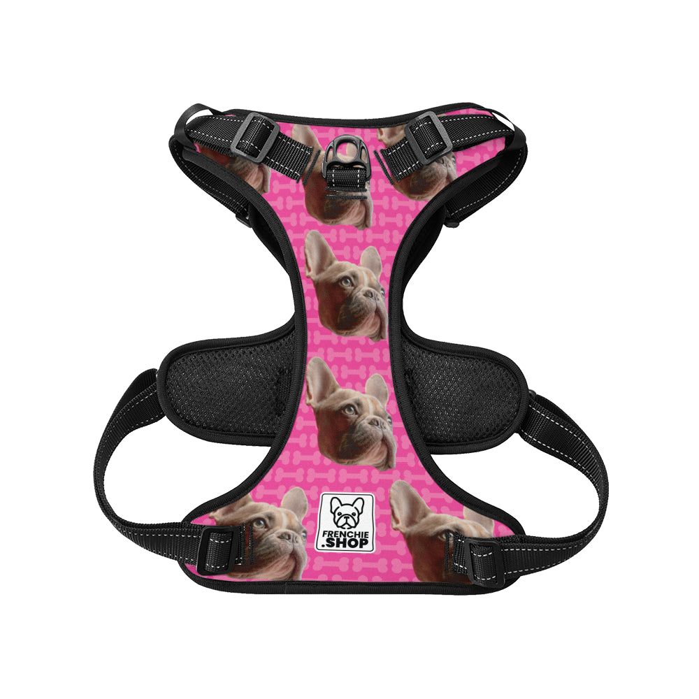 French Bulldog Quincy Personalized No Pull French Bulldog Dog Harness Practical Dog Gear