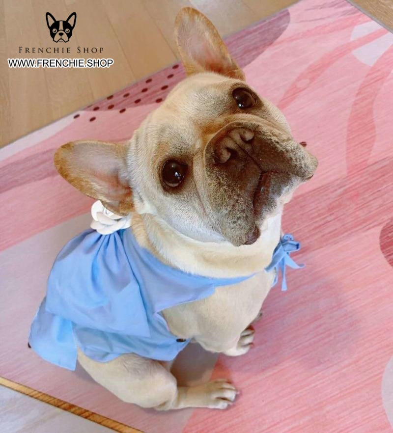 Street-Ready Frenchie Summer Dress Stylish Skirt (w309) as a Gift