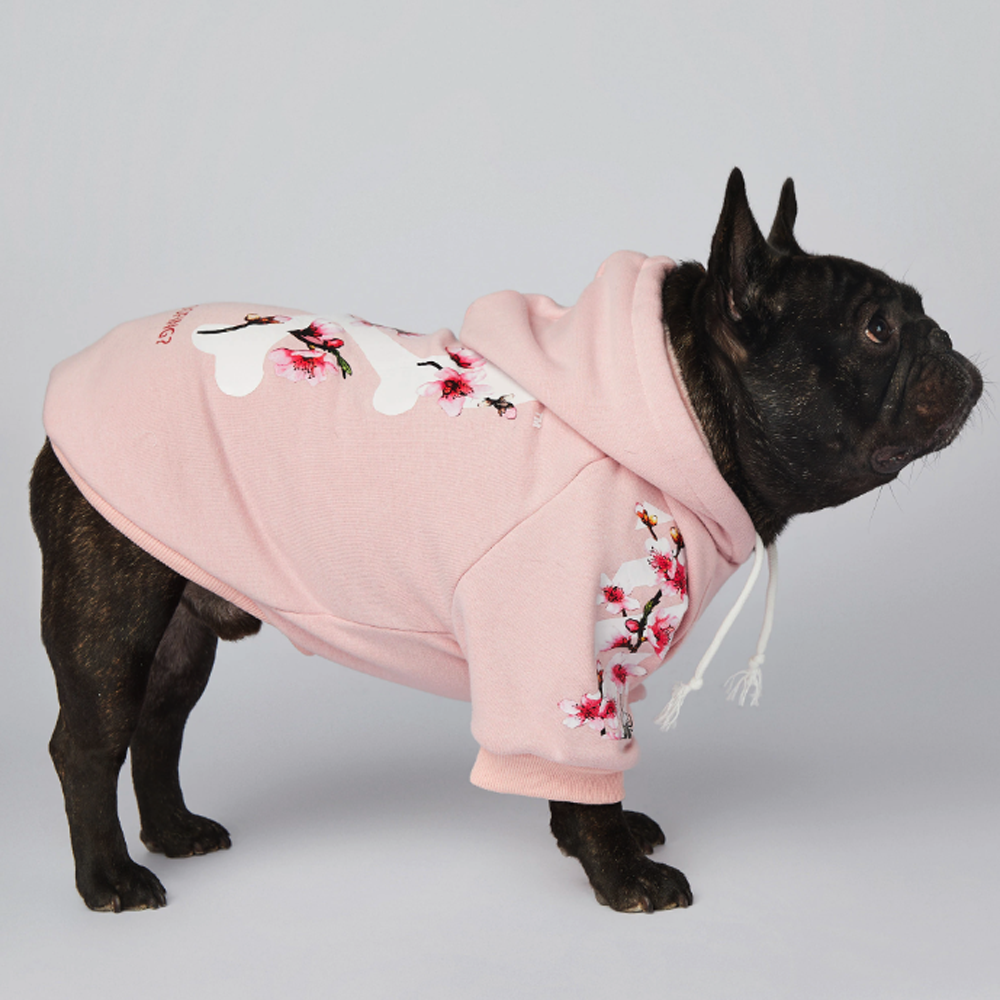 Minimal-Aesthetic Frenchdot™ - French Bulldog Woof Hoodie V3 for French