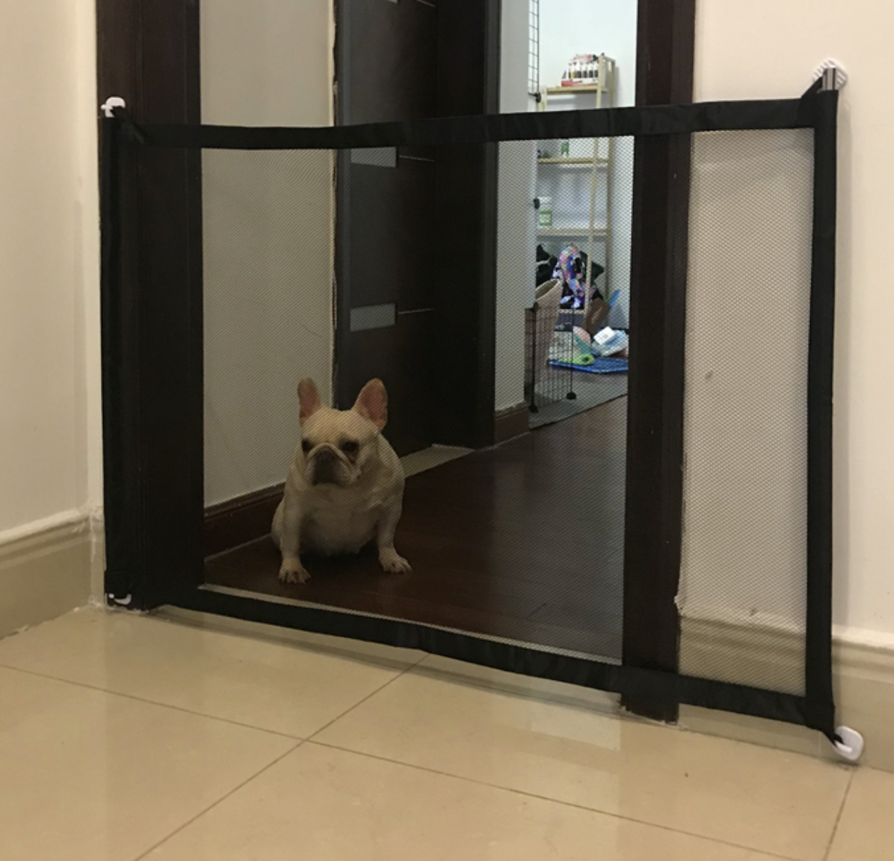 French Bulldog Magic Gate For Frenchies (ws57) Cute Frenchie Essential