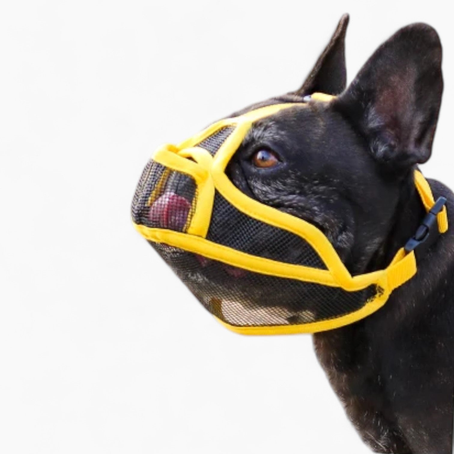 Pet-Lover Snoutease Frenchie Mesh Muzzle – Breathable Anti-bark Safet...