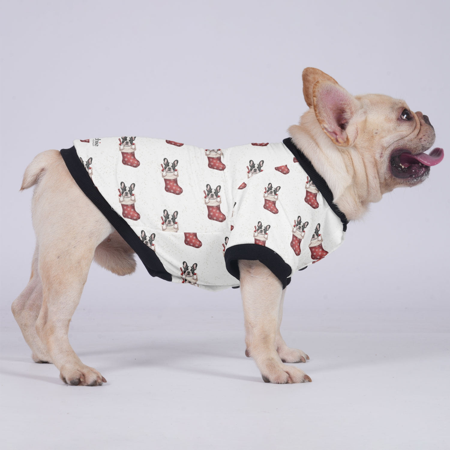 French Bulldog Thor Jacket For French Bulldog Soft Pet Apparel