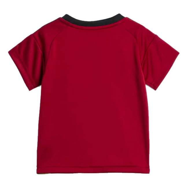 Premium 2024-2025 Belgium Home Official Athletic National