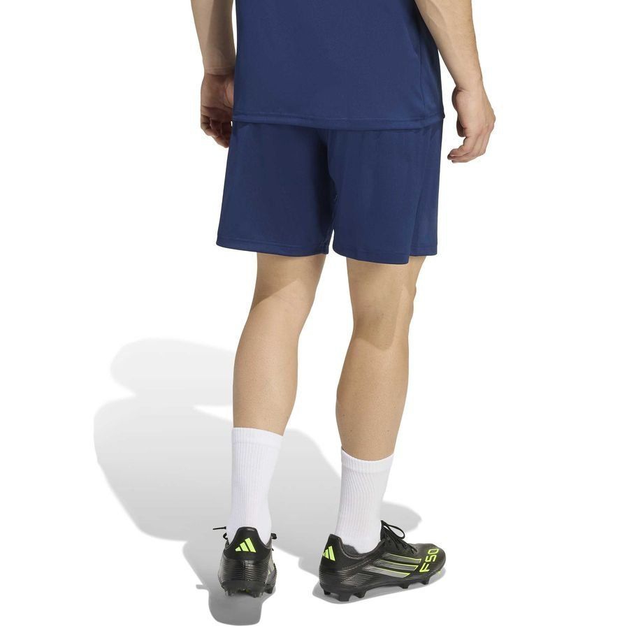 Strømsgodset Toppfotball adidas Treningsshorts Entrada 26 - Team Navy/White