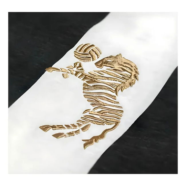 High Quality Juve M. Ligt #4 Cost-effective Official Merchandise (v5)