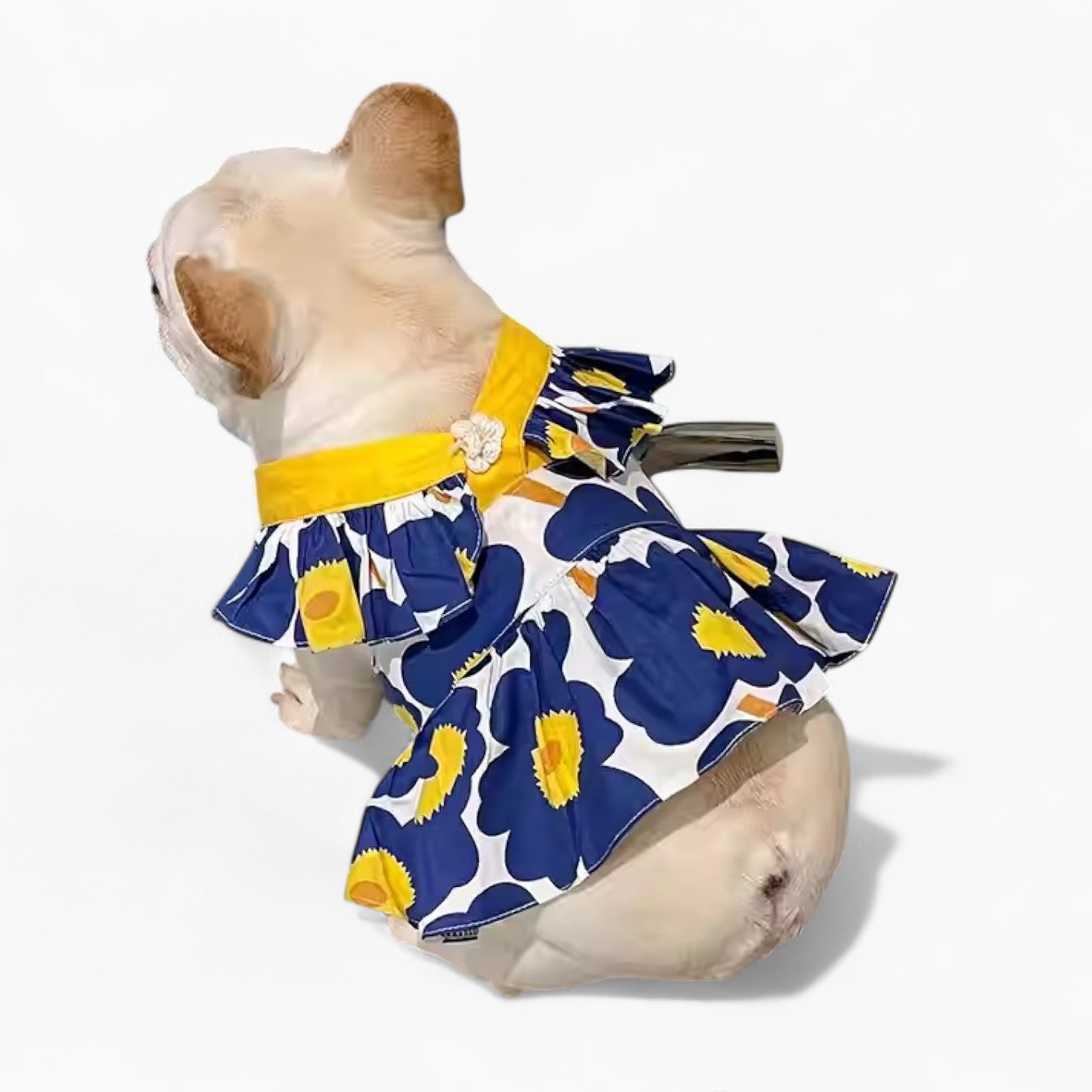 Dress – Thin Lightweight Floral Outfit Paw Protection | Vet-recommended