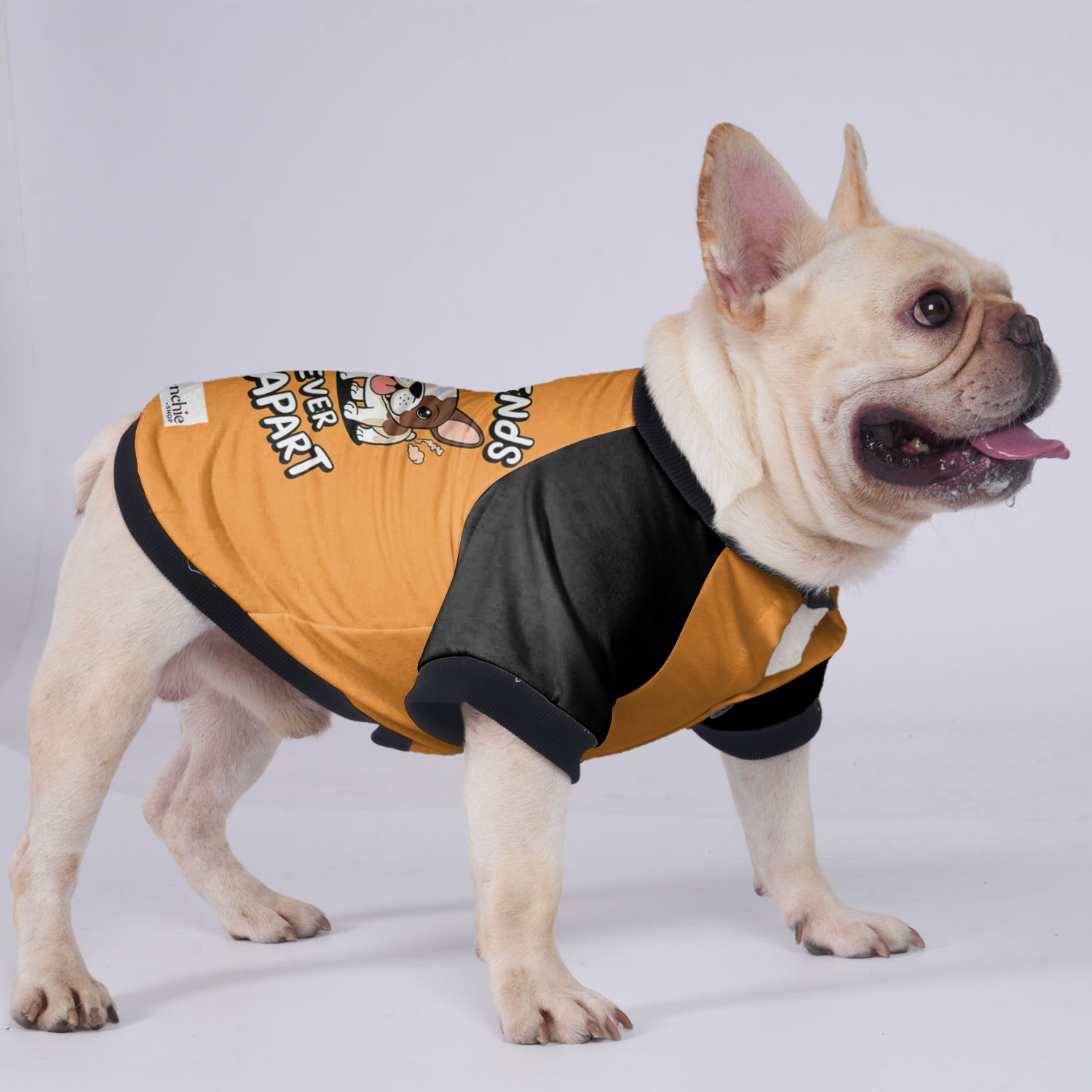 French Bulldog Zoey Jacket For French Bulldog Soft Pet Apparel