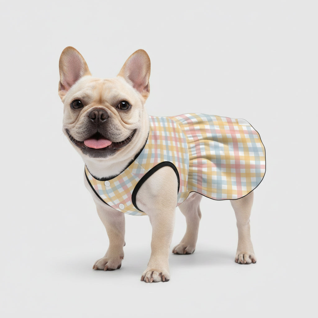 Bubble - Non-slip French Bulldog Dresses For Females For Frenchie Pups