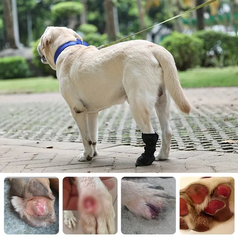 Of Four Adjustable Waterproof Dog Shoes Paw Protection | Breed-optimized