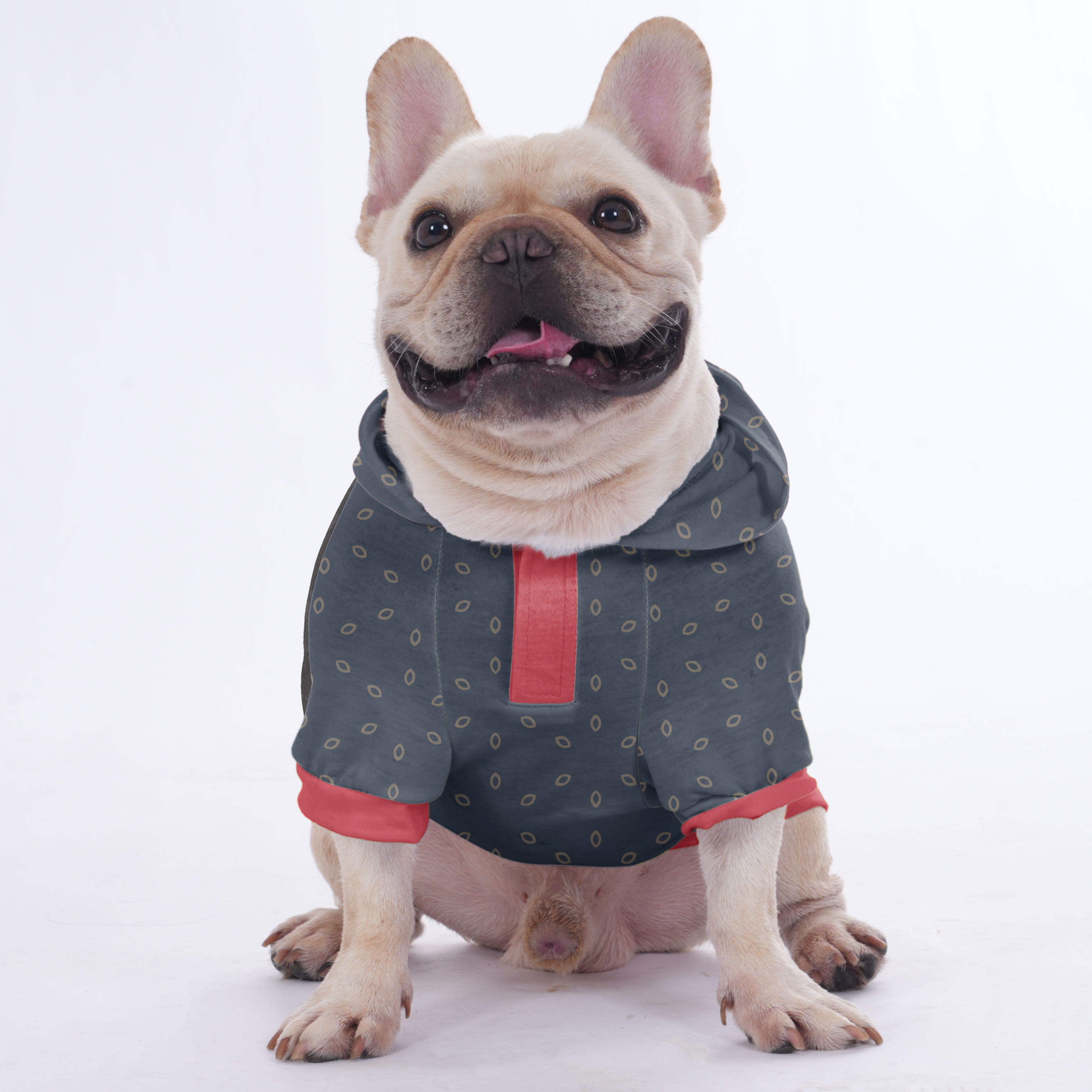 Frenchie's Name | Frenchie Shop Original For Dog Lovers | Trendy Style