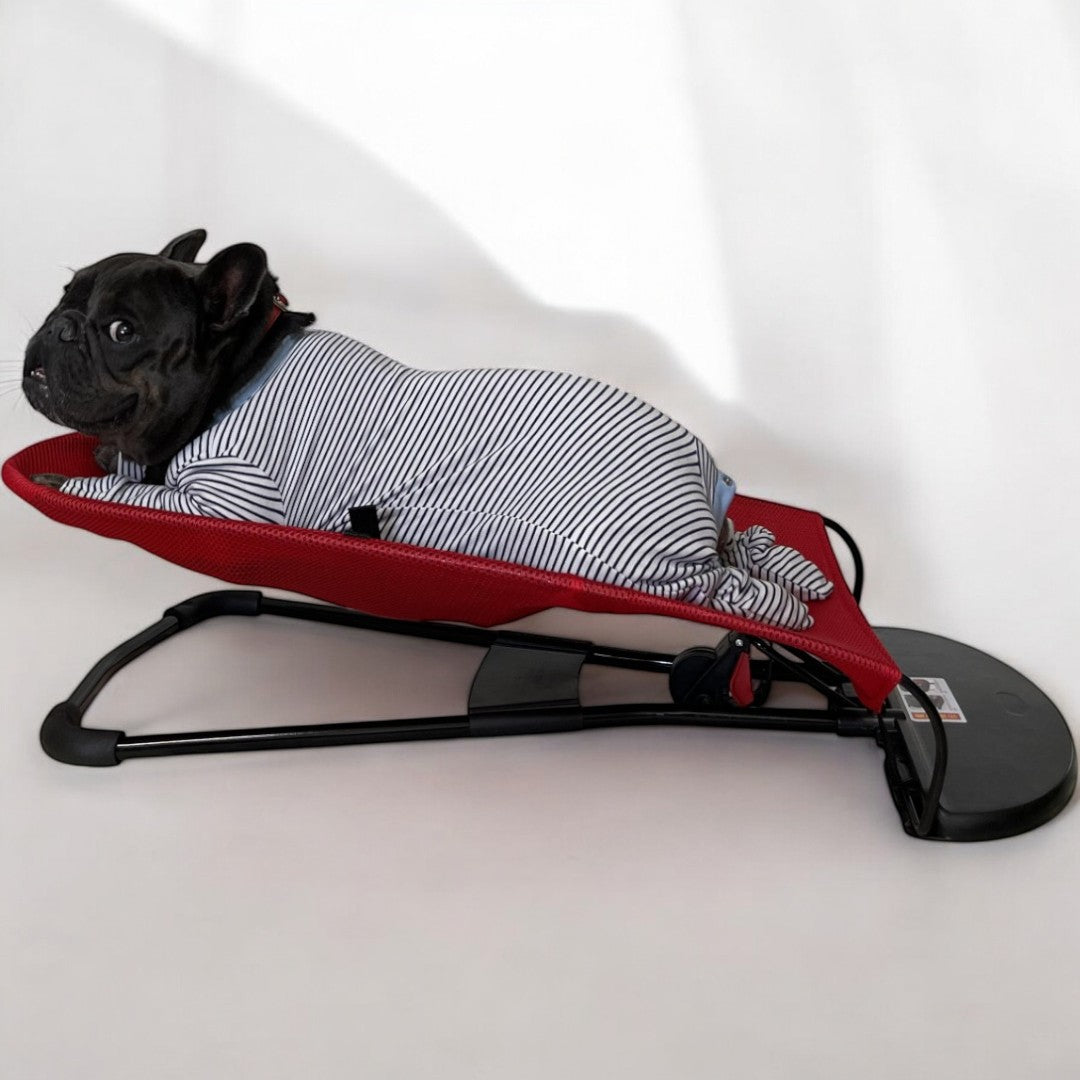 Lifestyle-Driven Portable Rocking Chair For French Bulldog for Street