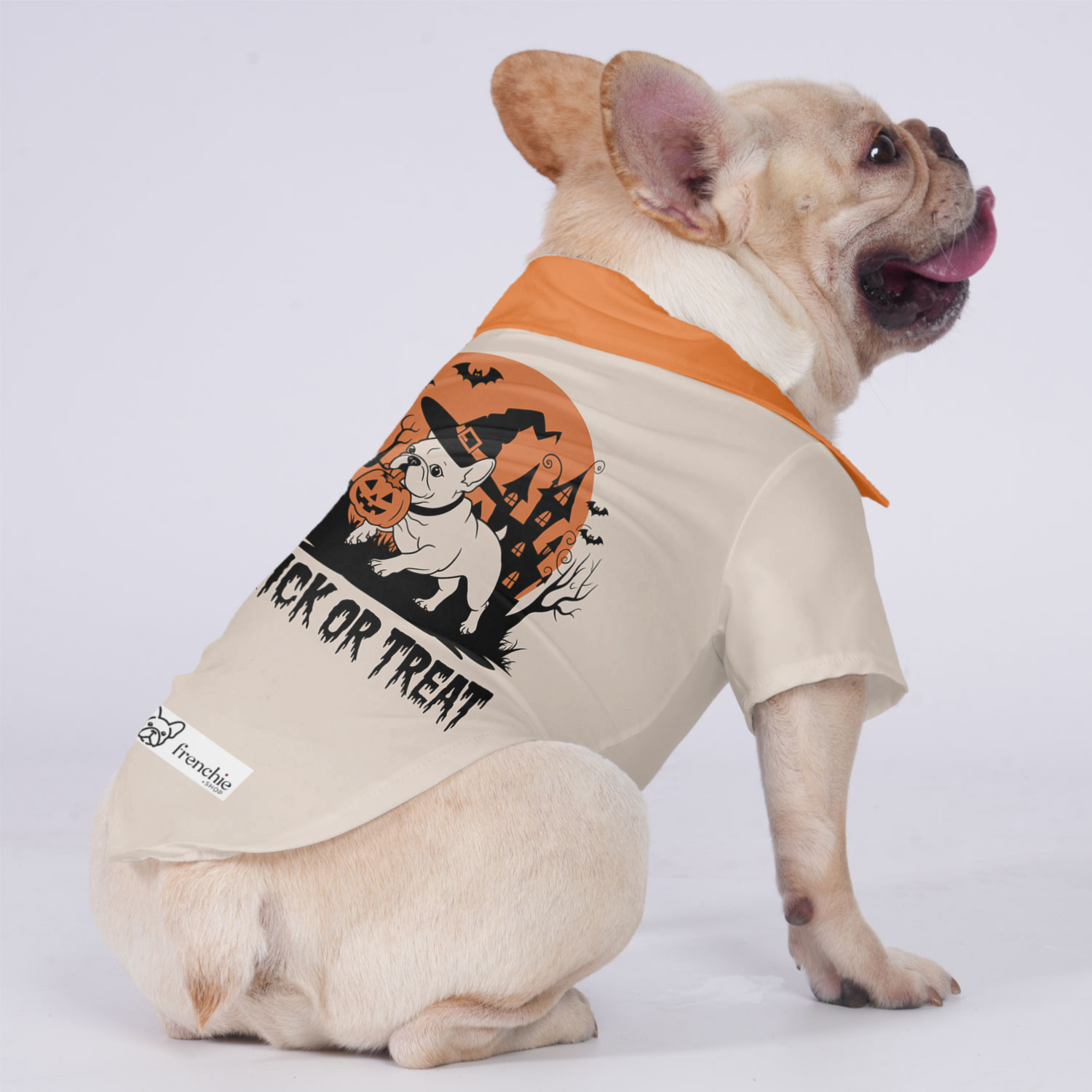 Lucy - Stylish Hawaiian Shirt For Frenchies Outdoor Style