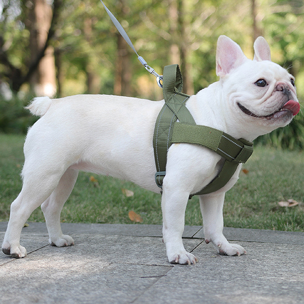 French Bulldog专属 Frenchie Personalized Vest-style Tactical Chest Harn...