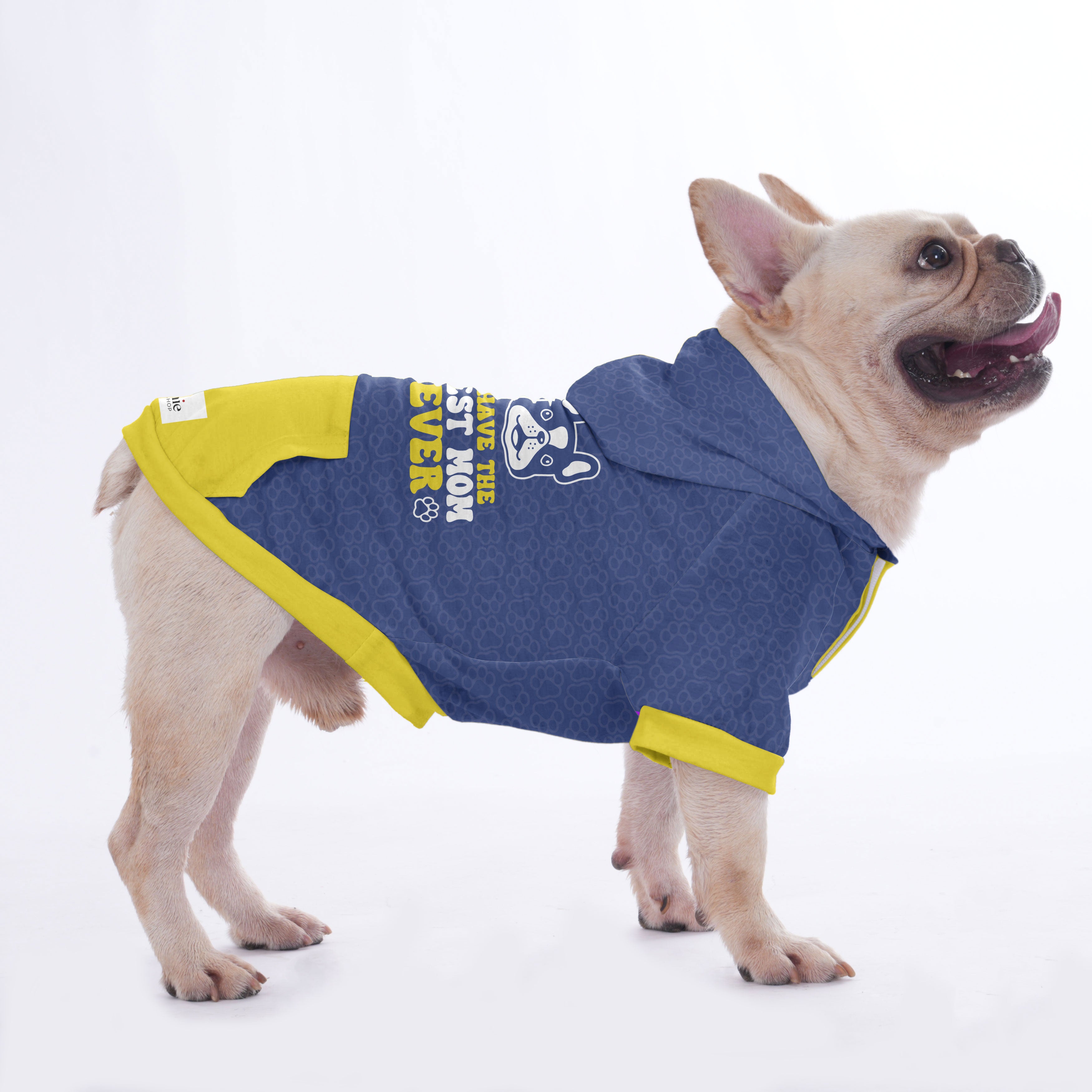 For French Bulldog | Frenchie Shop Original Casual Wear | Durable Build