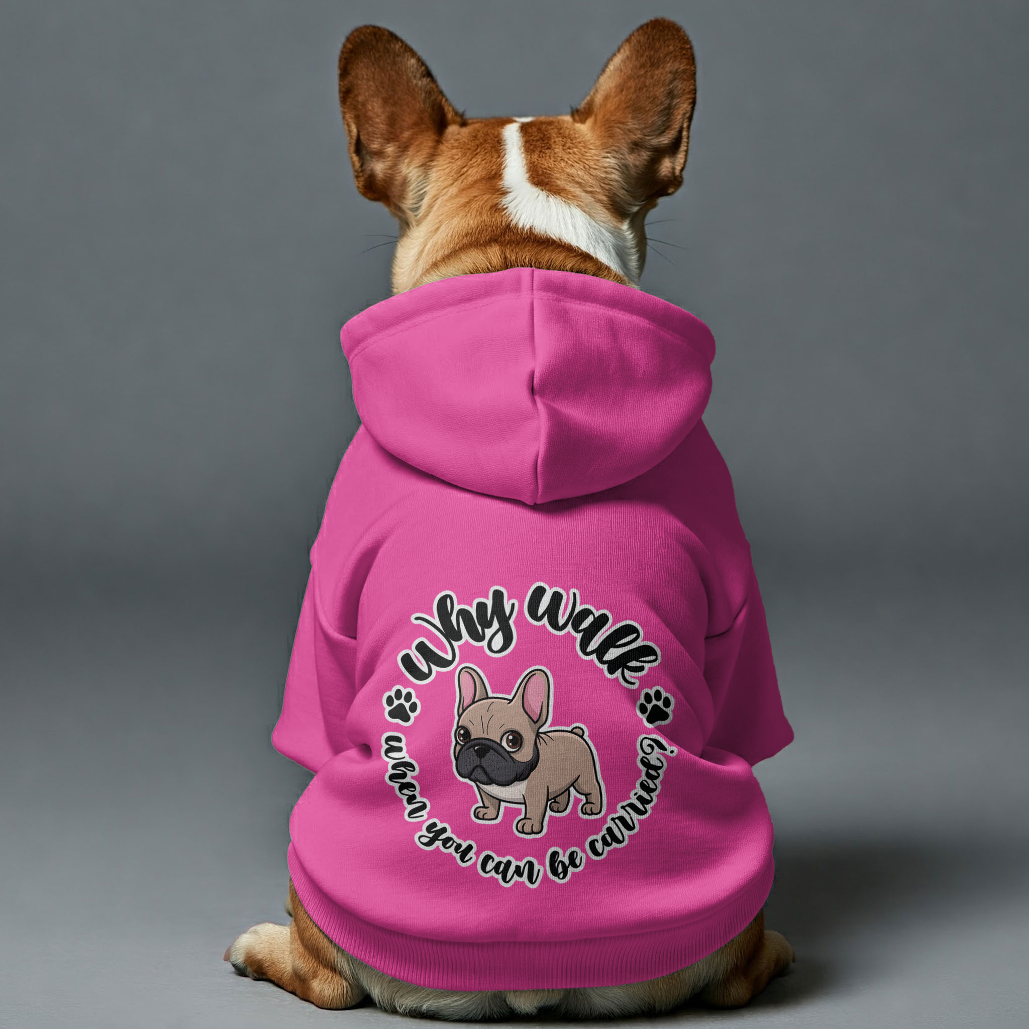 Why walk when you can be carried? - Personalized French Bulldog Hoodies with Funny Quotes – Stylish, Cozy, and Premium 100% Cotton