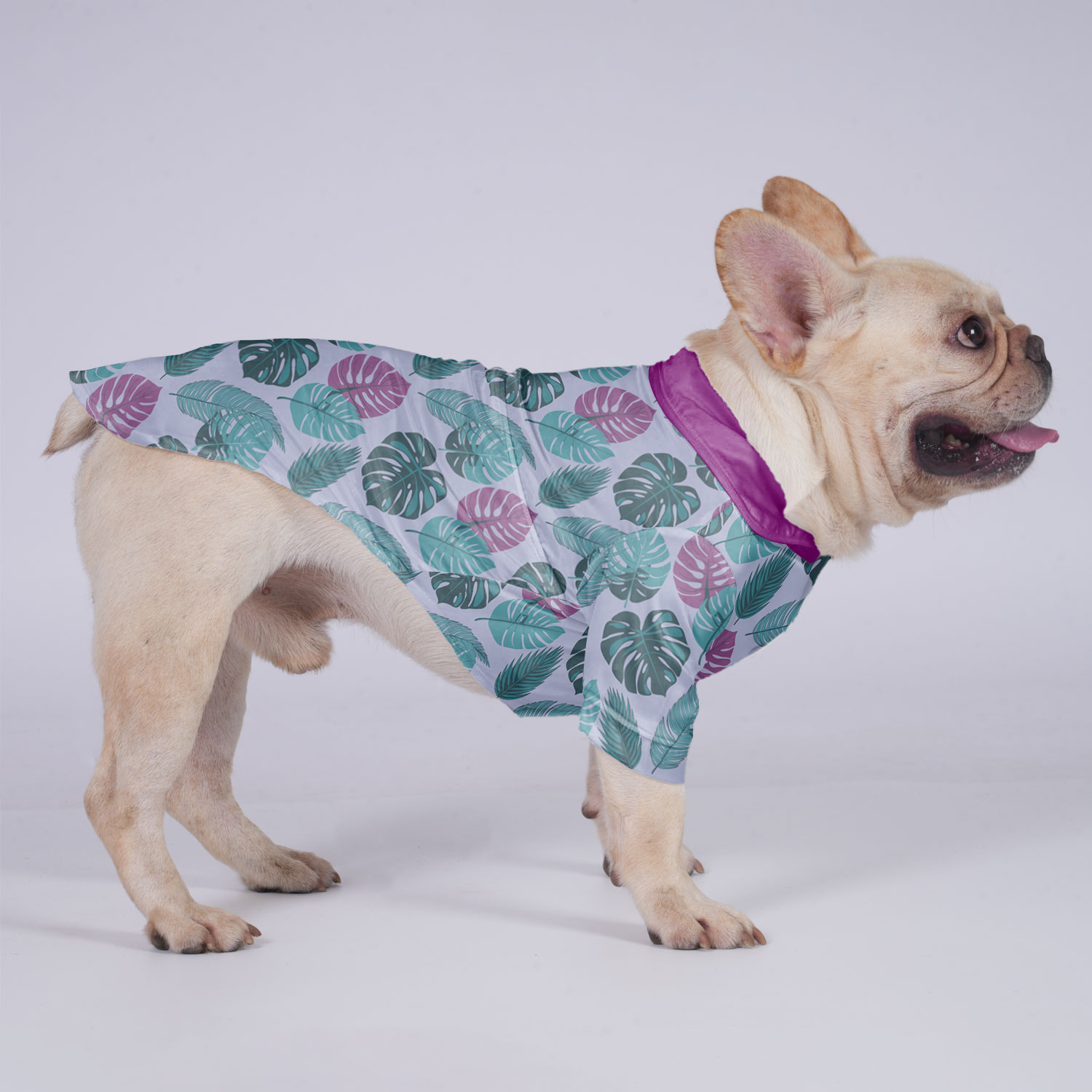 Beau - Everyday Hawaiian Shirt For Frenchies Outdoor Style