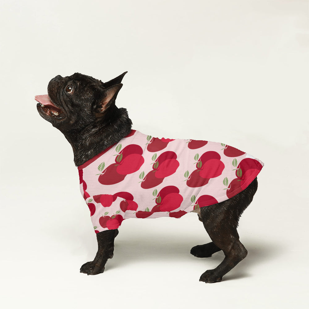 Dude - Stylish Wool Sweater For Frenchies Indoor Comfort | Durable Build