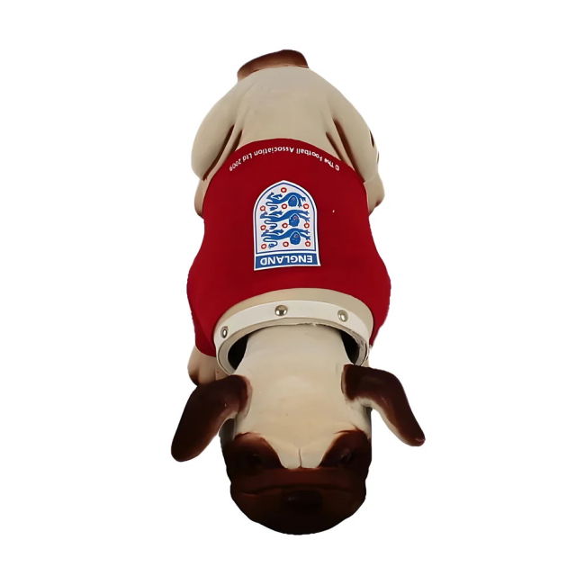 England Senior Team Top Tier Home Player Jersey