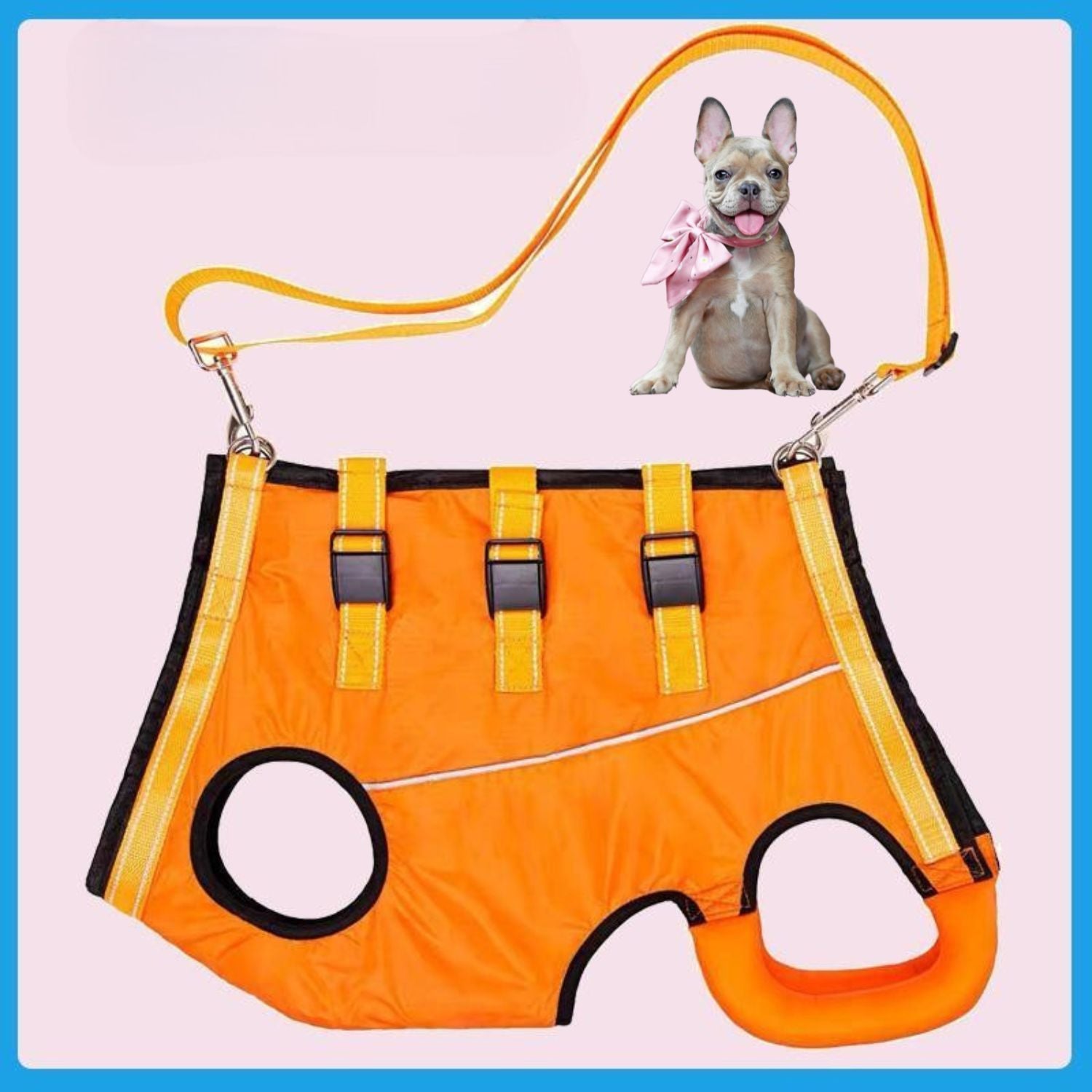 Pressure-Balanced Pawlift Frenchie Full Body Lift Harness – Injury An...