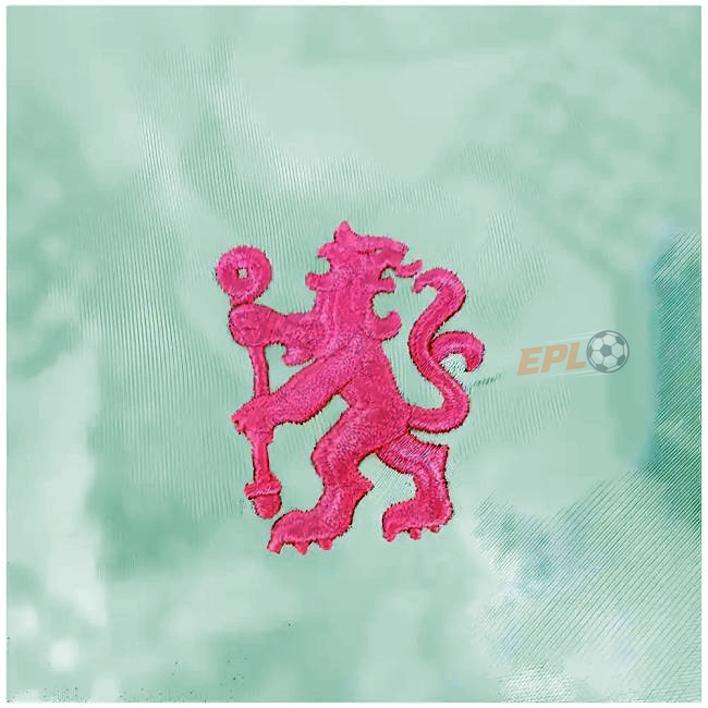 CHE 2024-20 budget-friendly Third Jersey - Adults | top quality