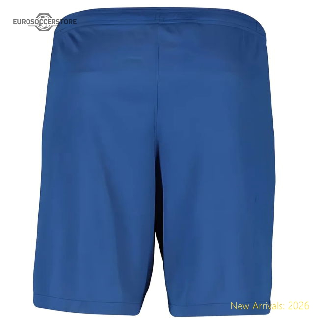 Performance 2019-2020 Barcelona Home Nike Football Shorts (Blue)