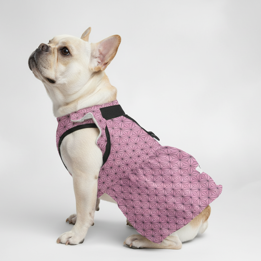 - Frenchie French Bulldog Dresses For Females Indoor Use | Comfort Fit