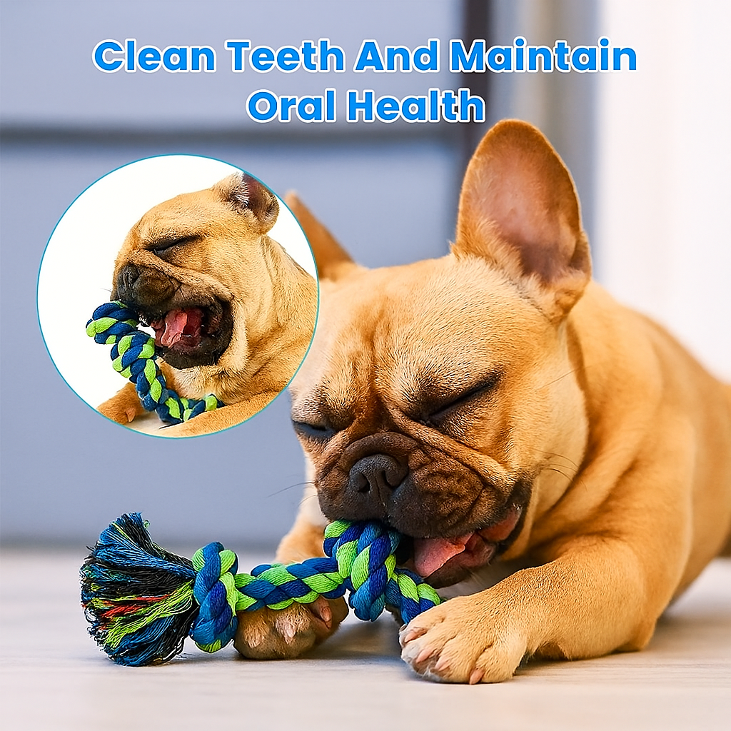 French Bulldog Knotzilla Frenchie Knot Chew Toy – Durable