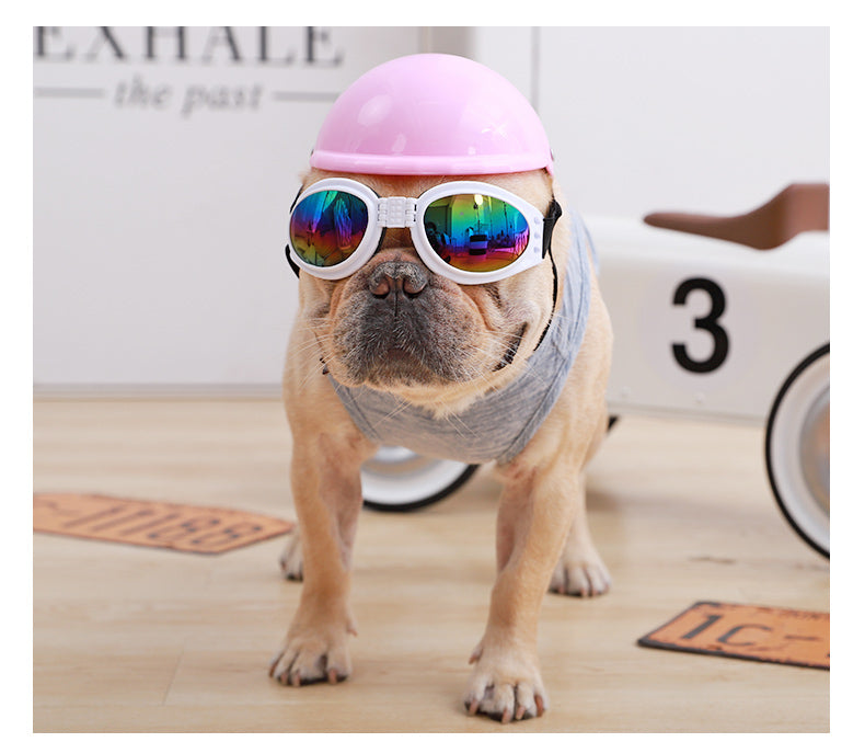 Waterproof - Breed-specific Goggles For Frenchies (ws04) Winter Wear